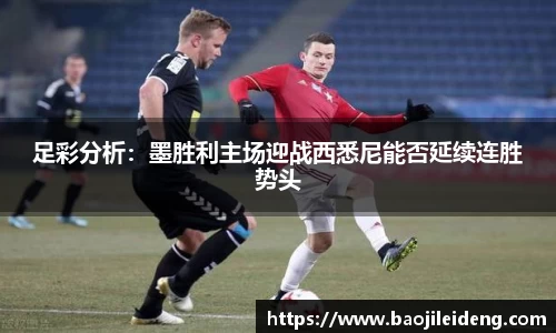 JN体育